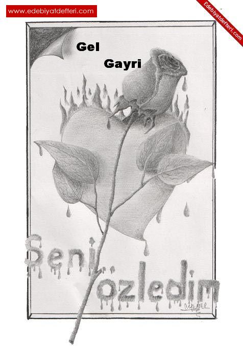 Gel gayri