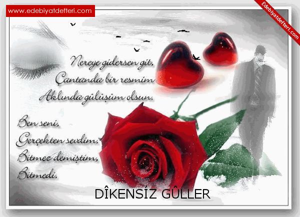 Dikensiz Gller