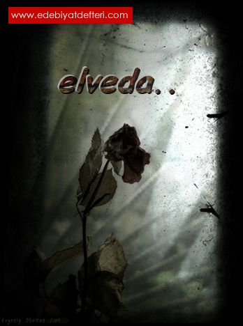***ELVEDA***  (1)