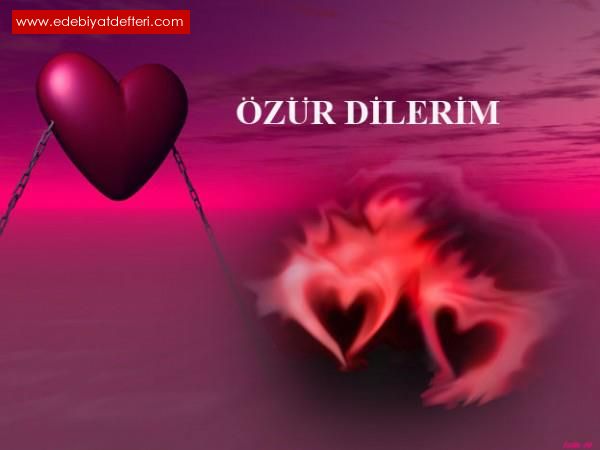 ZR DLERM