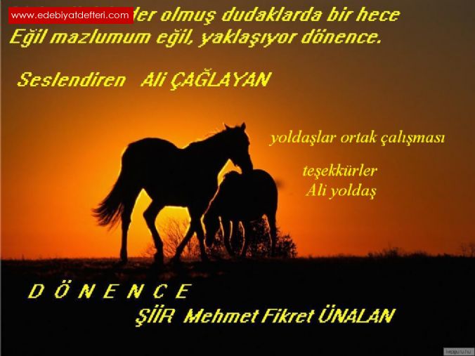 DNENCE