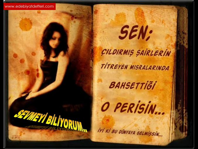 :::...SEVMEY BLYORUM...:::