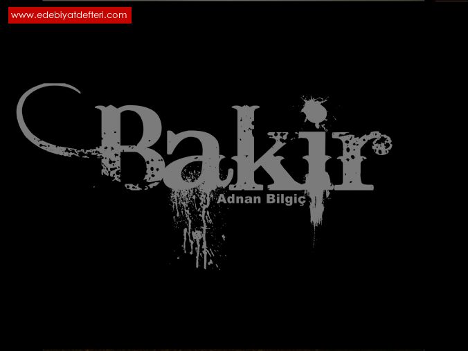 Bakir