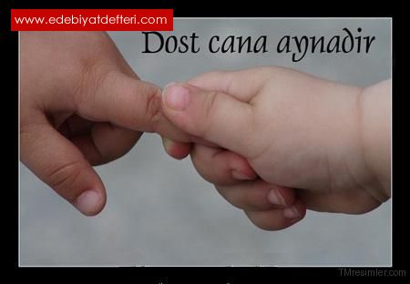 “ DOST MUSUN? ”