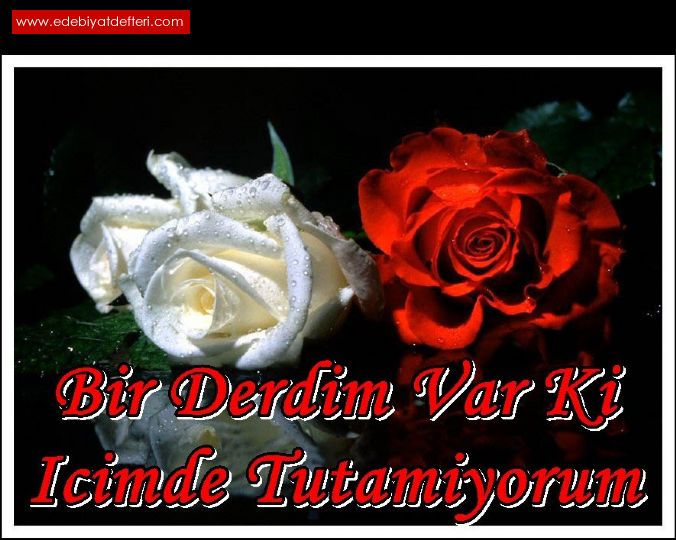 **BiR DERDiM VAR Ki**