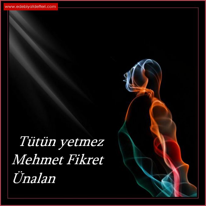 TTN YETMEZ