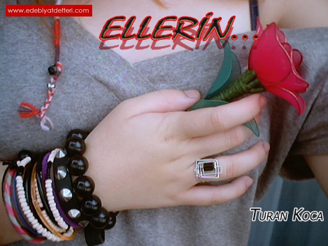 _Ellerin...