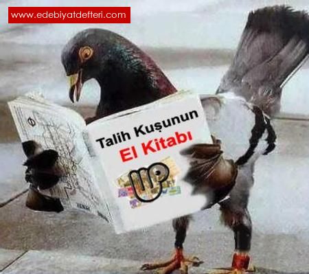 TALH KUU