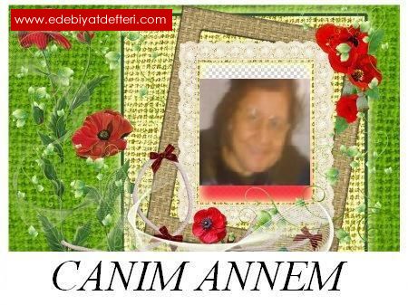 ANAM