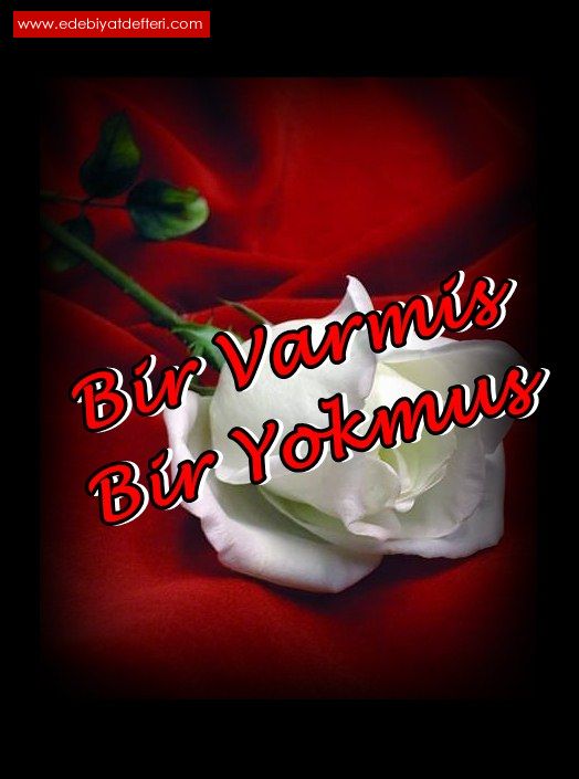 **BiR VARDIK BiR YOKMUSUZ**