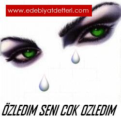 ZLEDIM