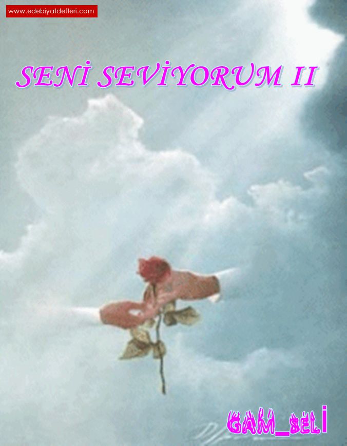 SEN SEVYORUM II