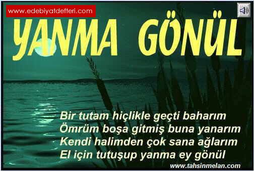 Yanma Gnl