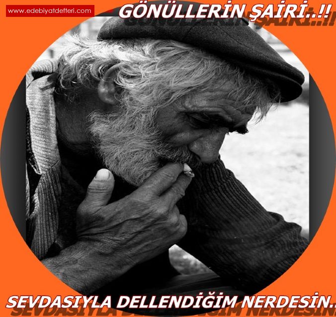 NERDESN..?