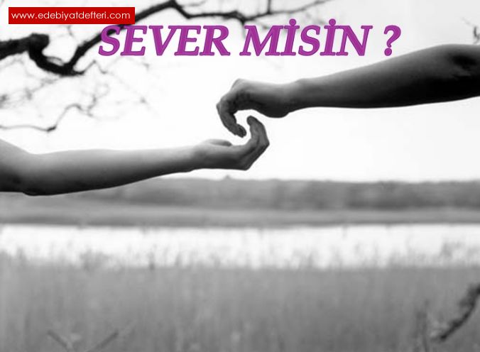 SEVER MSN ?