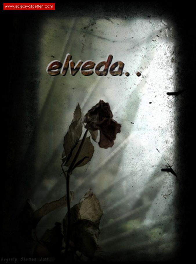 ELVEDA