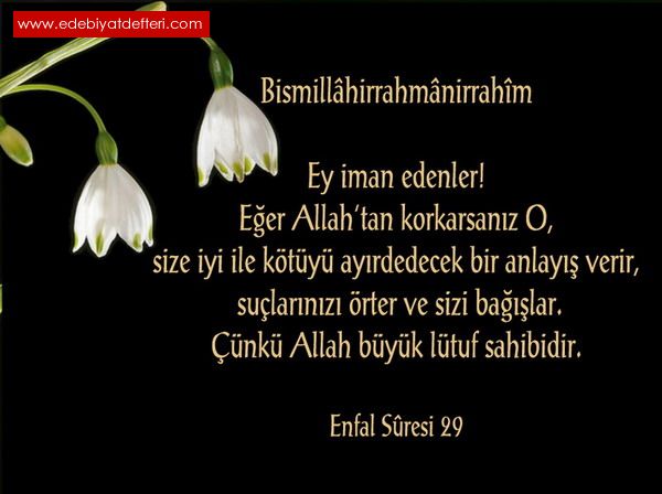 Bir Gn