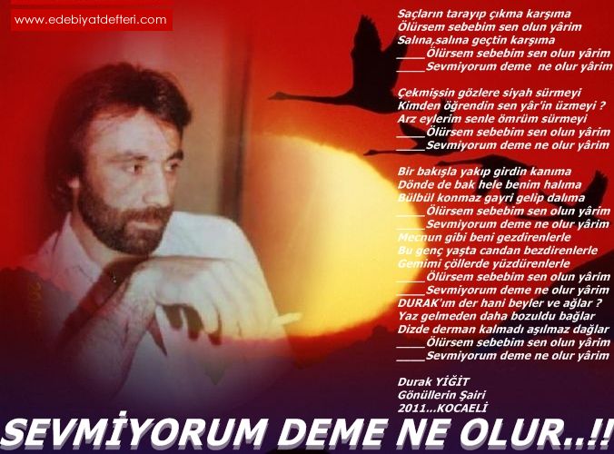 SEVMYORUM DEME NE OLUR.!!