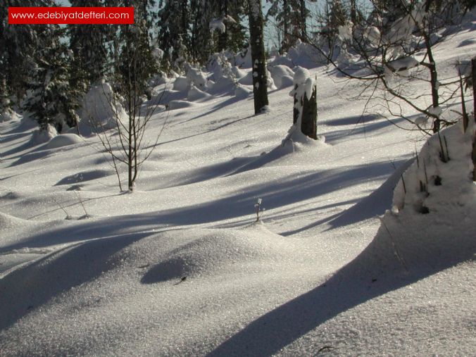 Kar yagmis // Es Schneit--- (Winter’s Brautkleid )