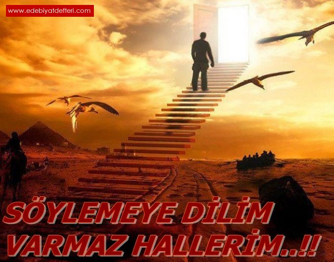 SYLEMEYE DLM VARMAZ HALLERM..!!