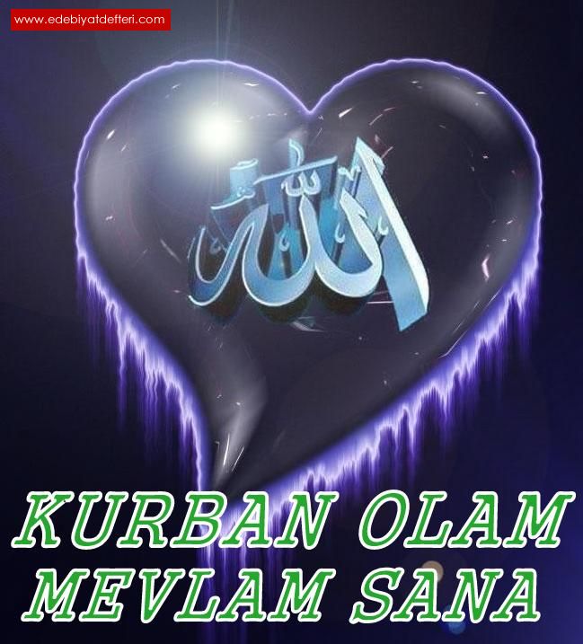 KURBAN OLAM MEVLAM