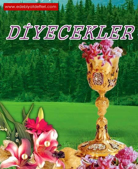 D  Y E C E K L E R -2-