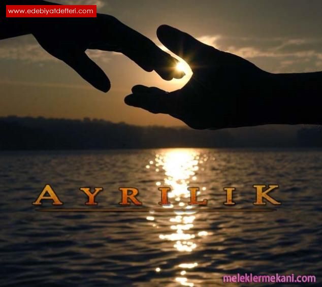 AYRILIK ARKISI