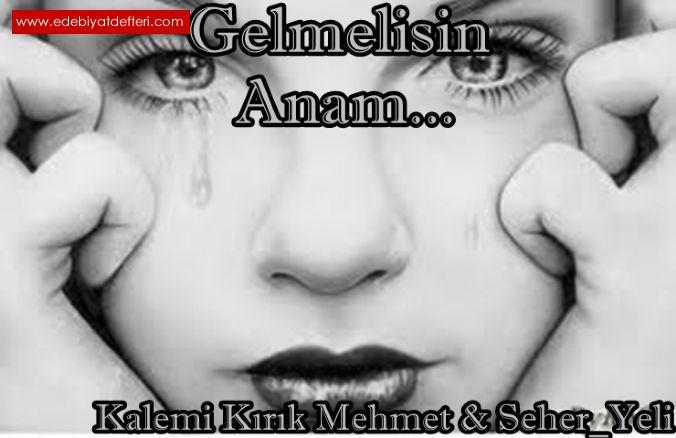 GELMELSN ANAM