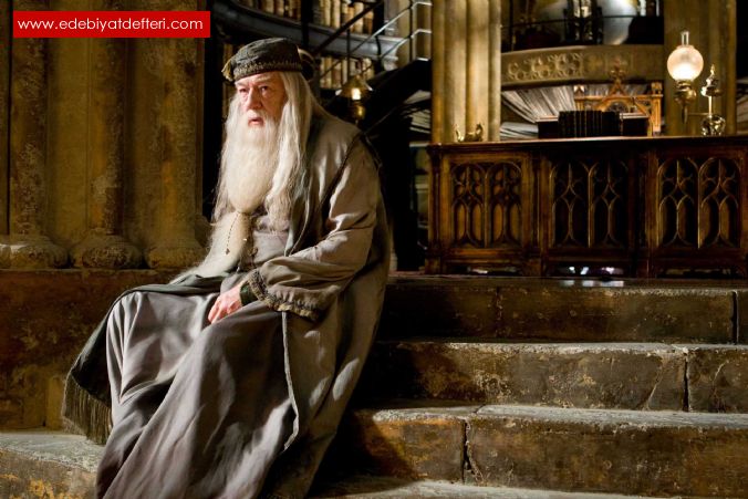 Dumbledore's Farewell (Why Did You Die)