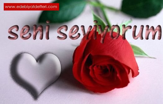 Senin Sevgin