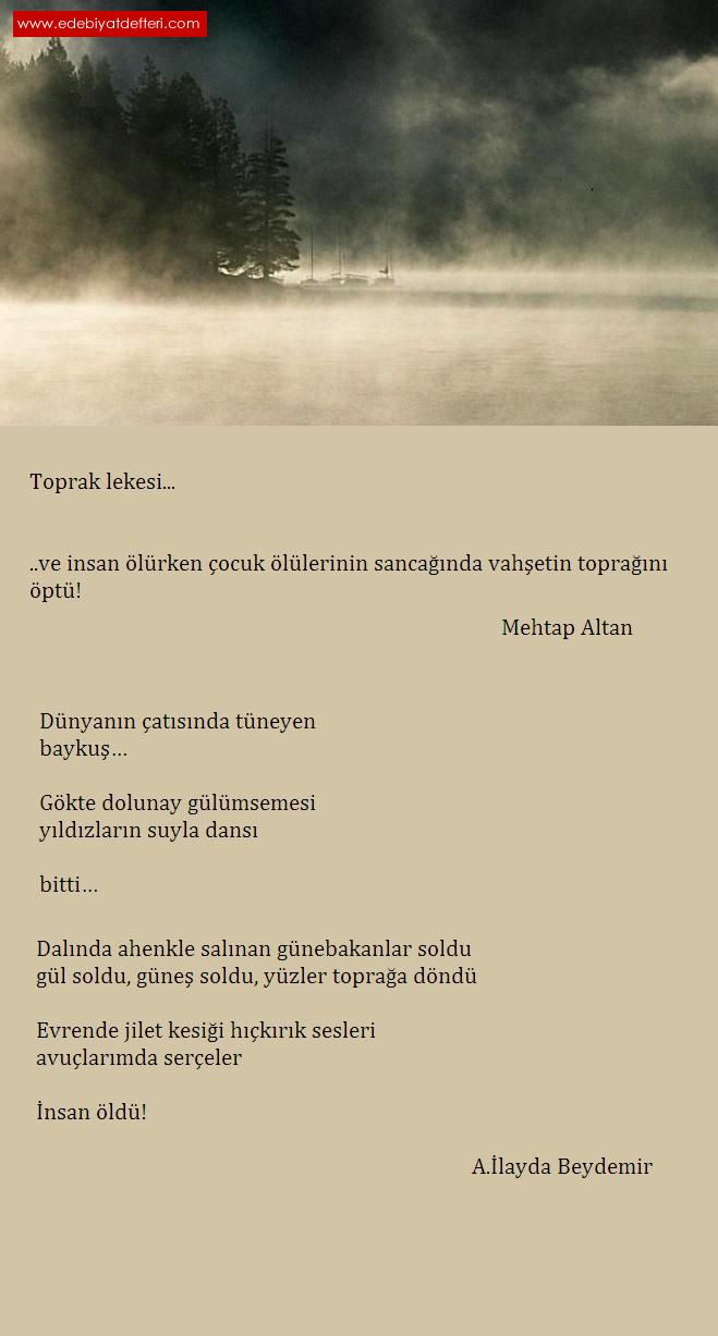 Toprak Lekesi... (1)