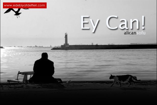 Ey Can...