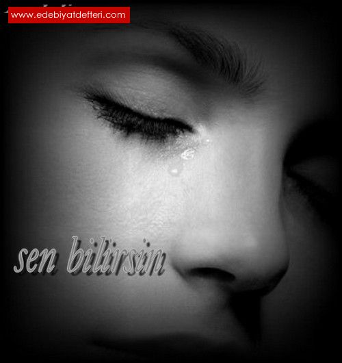 SEN BLRSN!..