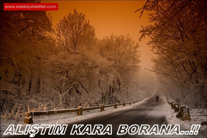 ALITIM KARA BORANA..!!