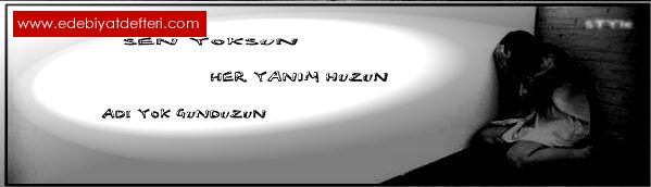 yerin yok senin..!