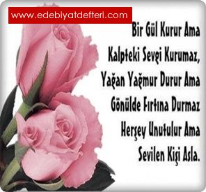 Bilde yle git