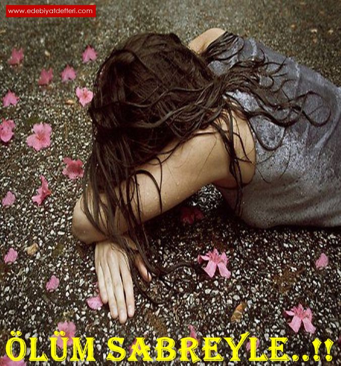 LM SABREYLE..!!