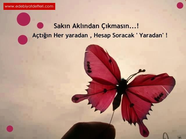 333.NASILDA KANDIM...