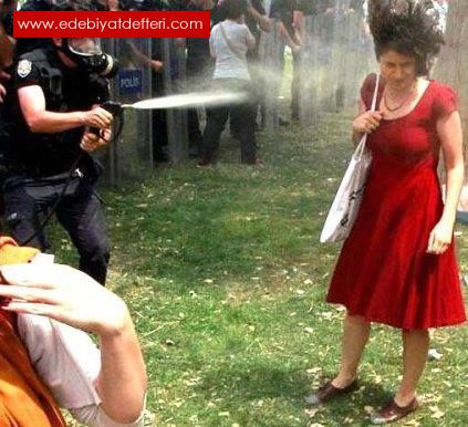 Diren Gezi Park