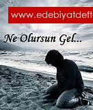 Ne Olursun Gel