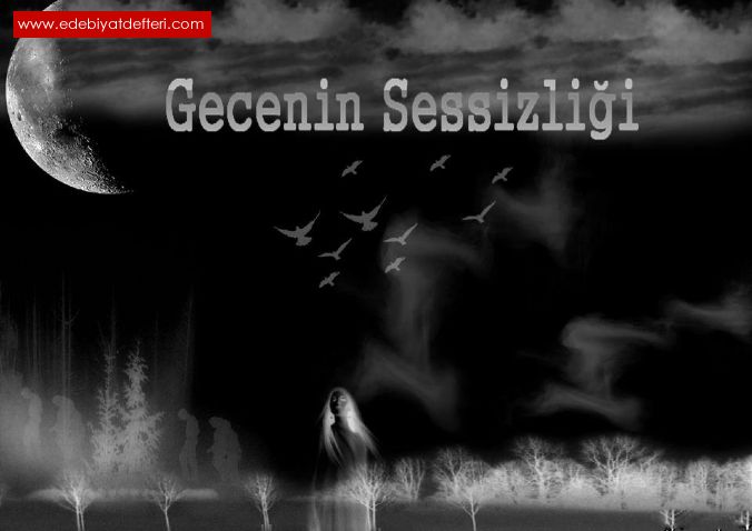 Gecenin Sessizlii