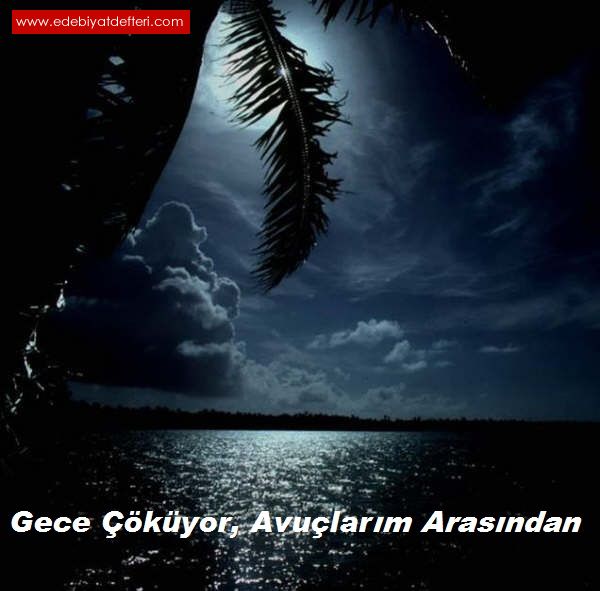 Gece kyor, Avularm Arasndan