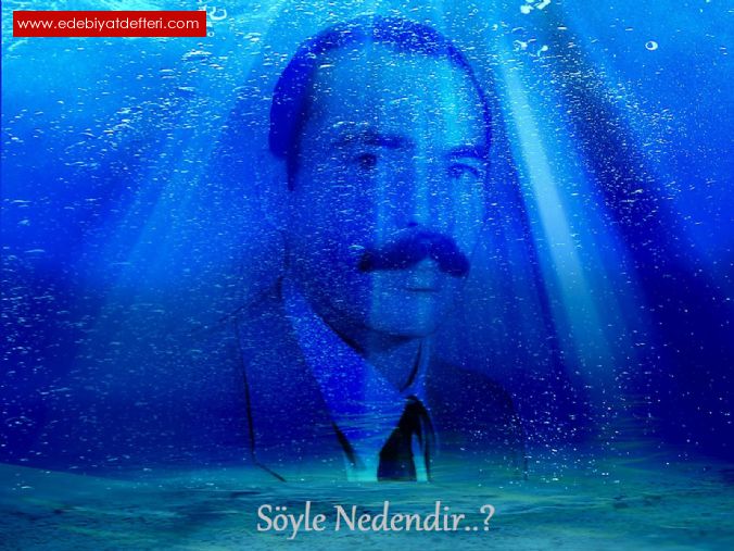 SYLE NEDENDR