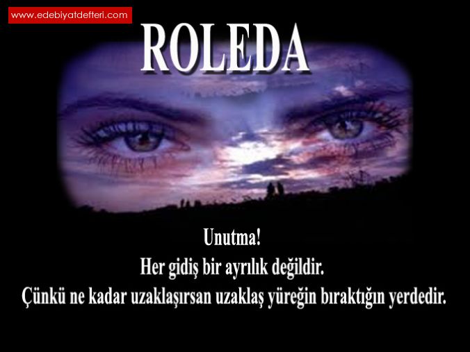 ROLEDA_3