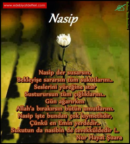 Nasip