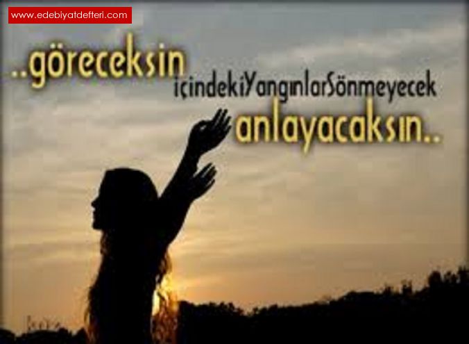 ANLAYACAKSIN SEN DE