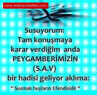 Sadece susuyorum !