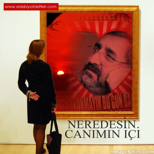 NEREDESN CANIMIN 