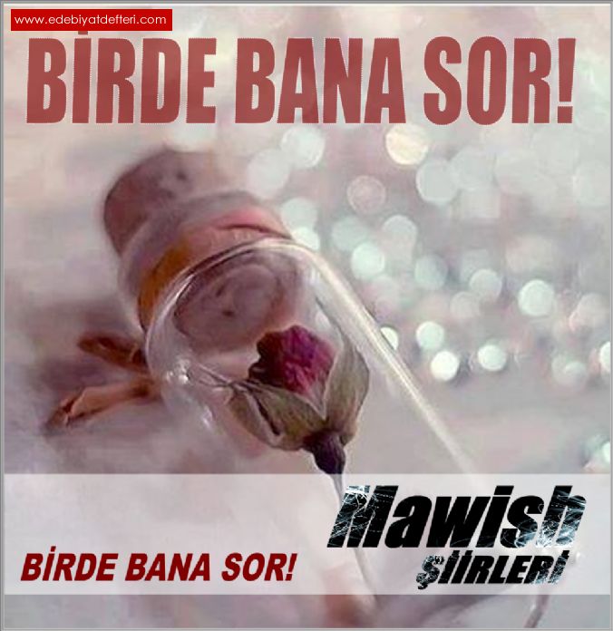 Birde Bana Sor