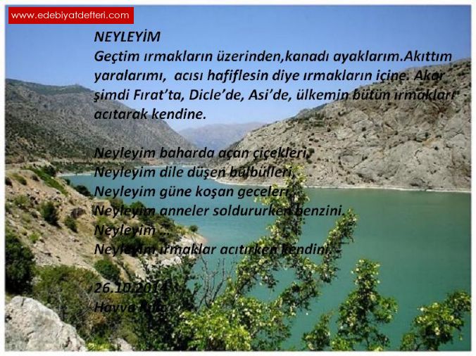 NEYLEYM